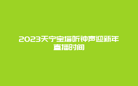 2024年天宁宝塔听钟声迎新年直播时间