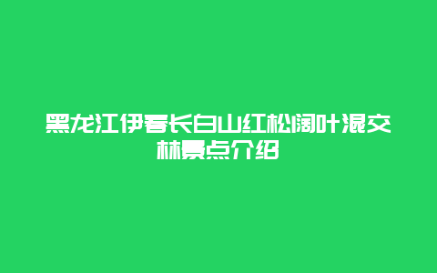 黑龙江伊春长白山红松阔叶混交林景点介绍