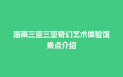 海南三亚三亚奇幻艺术体验馆景点介绍