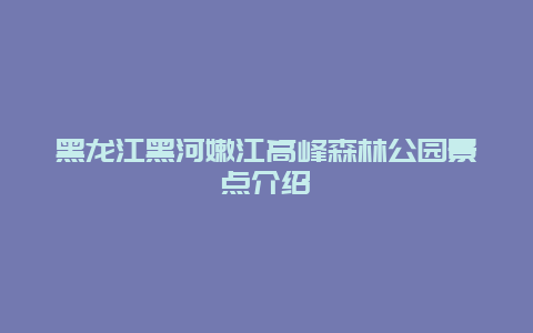 黑龙江黑河嫩江高峰森林公园景点介绍