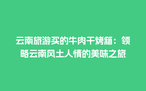 云南旅游买的牛肉干烤箱：领略云南风土人情的美味之旅