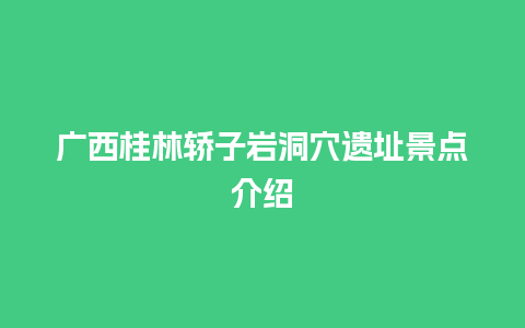 广西桂林轿子岩洞穴遗址景点介绍