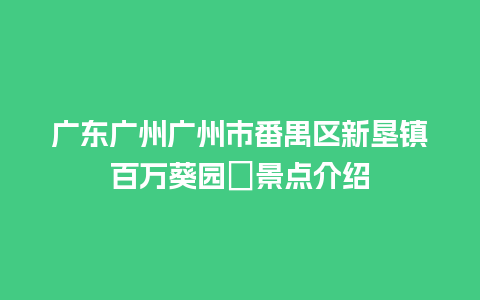 广东广州广州市番禺区新垦镇百万葵园　景点介绍