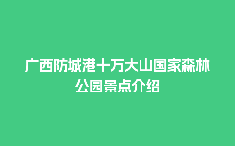 广西防城港十万大山国家森林公园景点介绍