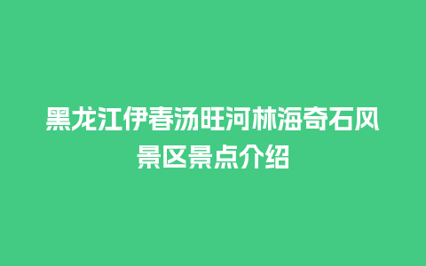 黑龙江伊春汤旺河林海奇石风景区景点介绍