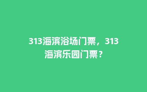 313海滨浴场门票，313海滨乐园门票？