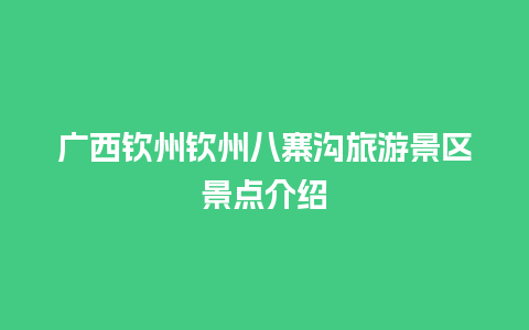 广西钦州钦州八寨沟旅游景区景点介绍