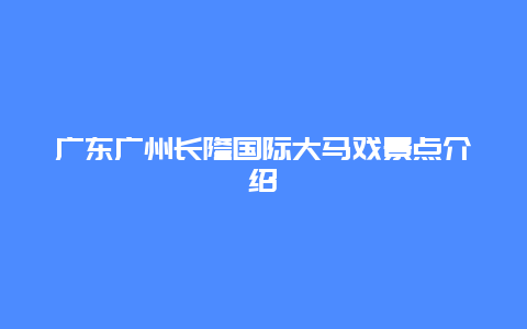 广东广州长隆国际大马戏景点介绍