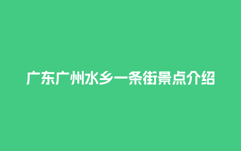 广东广州水乡一条街景点介绍