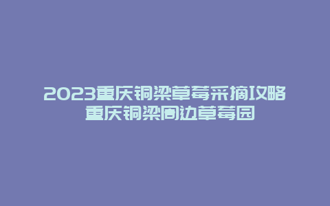 2024年重庆铜梁草莓采摘攻略 重庆铜梁周边草莓园