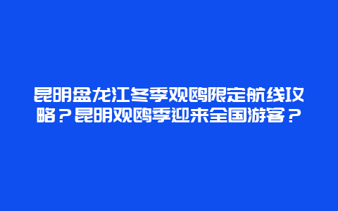 昆明盘龙江冬季观鸥限定航线攻略？昆明观鸥季迎来全国游客？