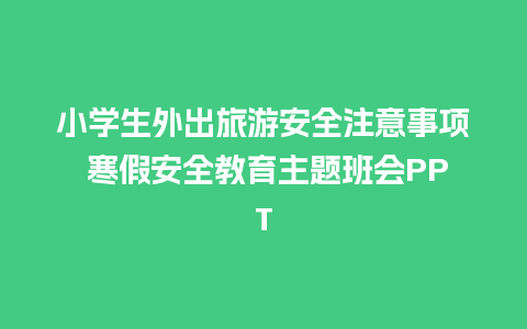 小学生外出旅游安全注意事项 寒假安全教育主题班会PPT