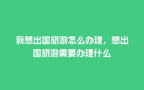 我想出国旅游怎么办理，想出国旅游需要办理什么