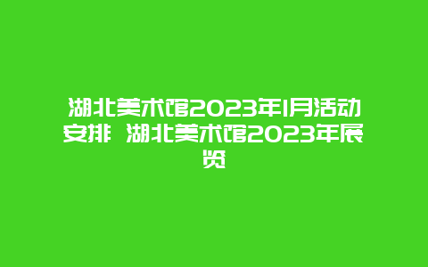 湖北美术馆2024年1月活动安排 湖北美术馆2024年展览