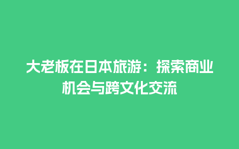 大老板在日本旅游：探索商业机会与跨文化交流