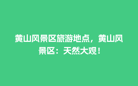 黄山风景区旅游地点，黄山风景区：天然大观！