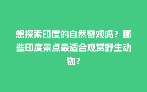 想探索印度的自然奇观吗？哪些印度景点最适合观赏野生动物？