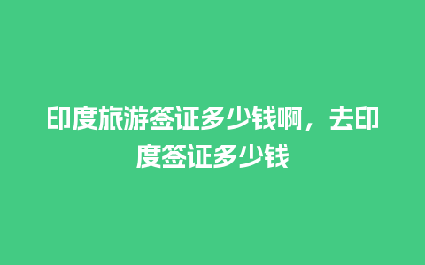 印度旅游签证多少钱啊，去印度签证多少钱