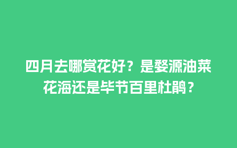 四月去哪赏花好？是婺源油菜花海还是毕节百里杜鹃？