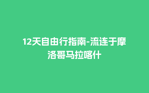 12天自由行指南-流连于摩洛哥马拉喀什