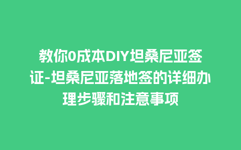 教你0成本DIY坦桑尼亚签证-坦桑尼亚落地签的详细办理步骤和注意事项