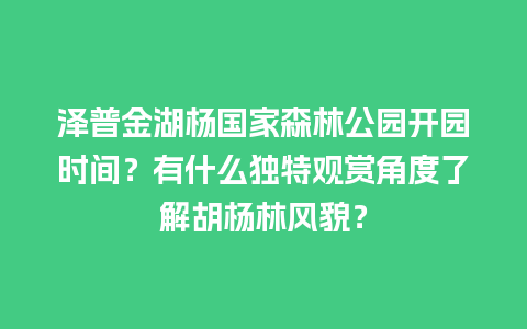 泽普金湖杨国家森林公园开园时间？有什么独特观赏角度了解胡杨林风貌？