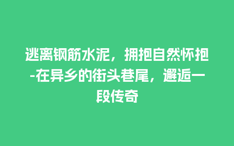 逃离钢筋水泥，拥抱自然怀抱-在异乡的街头巷尾，邂逅一段传奇