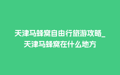 天津马蜂窝自由行旅游攻略_天津马蜂窝在什么地方