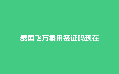 泰国飞万象用签证吗现在