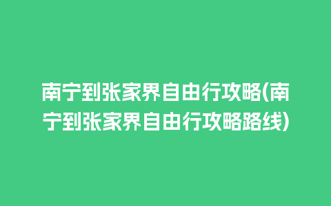 南宁到张家界自由行攻略(南宁到张家界自由行攻略路线)