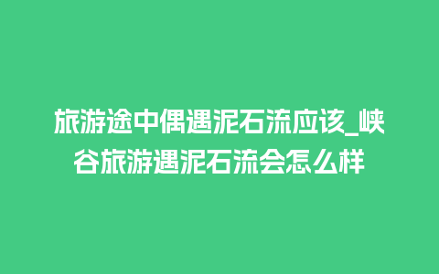 旅游途中偶遇泥石流应该_峡谷旅游遇泥石流会怎么样