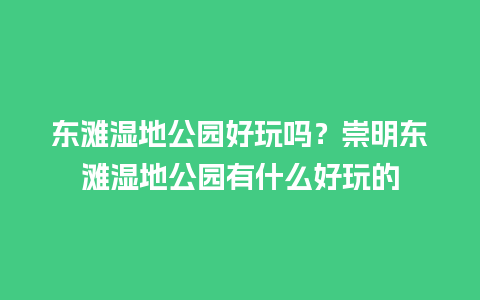 东滩湿地公园好玩吗？崇明东滩湿地公园有什么好玩的