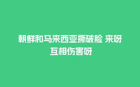 朝鲜和马来西亚撕破脸 来呀 互相伤害呀