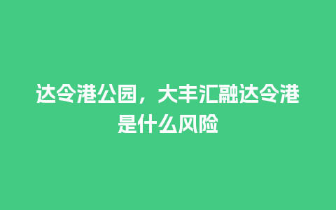 达令港公园，大丰汇融达令港是什么风险