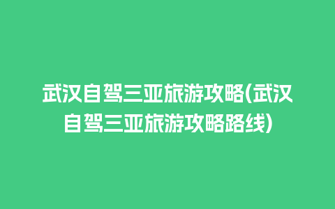 武汉自驾三亚旅游攻略(武汉自驾三亚旅游攻略路线)