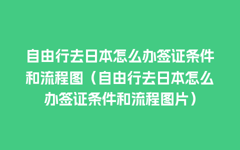 自由行去日本怎么办签证条件和流程图（自由行去日本怎么办签证条件和流程图片）