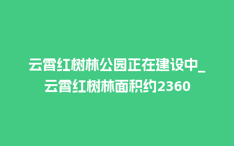 云霄红树林公园正在建设中_云霄红树林面积约2360