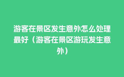 游客在景区发生意外怎么处理最好（游客在景区游玩发生意外）