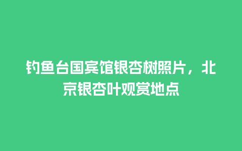 钓鱼台国宾馆银杏树照片，北京银杏叶观赏地点