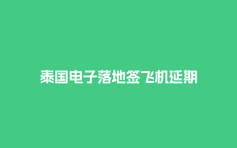 泰国电子落地签飞机延期