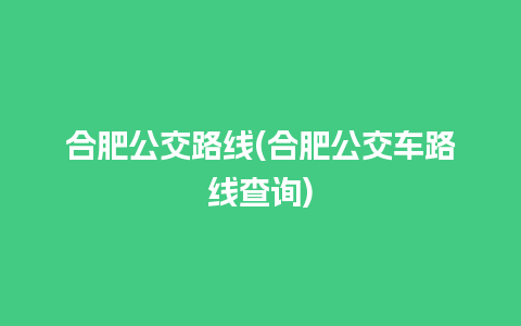 合肥公交路线(合肥公交车路线查询)