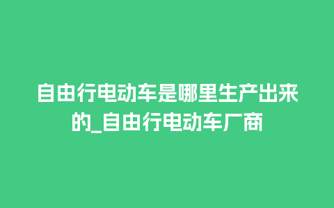 自由行电动车是哪里生产出来的_自由行电动车厂商