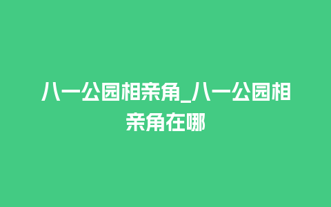 八一公园相亲角_八一公园相亲角在哪