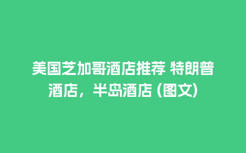 美国芝加哥酒店推荐 特朗普酒店，半岛酒店 (图文)