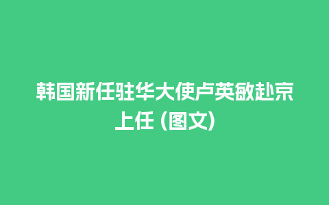 韩国新任驻华大使卢英敏赴京上任 (图文)