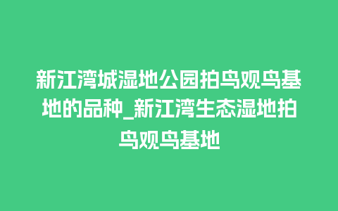 新江湾城湿地公园拍鸟观鸟基地的品种_新江湾生态湿地拍鸟观鸟基地