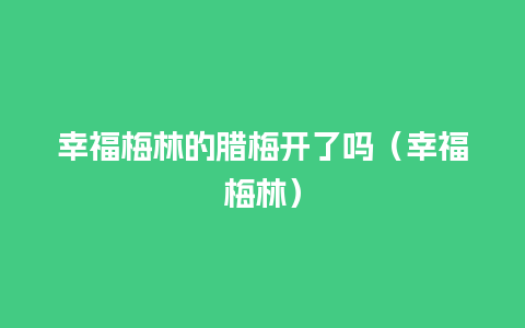 幸福梅林的腊梅开了吗（幸福梅林）