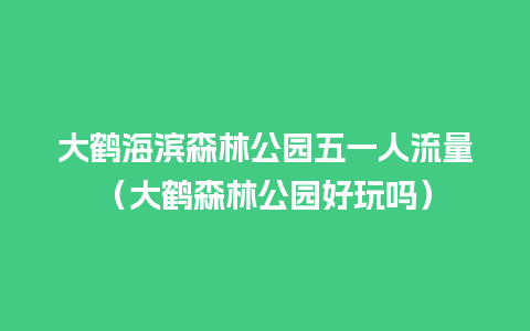 大鹤海滨森林公园五一人流量（大鹤森林公园好玩吗）