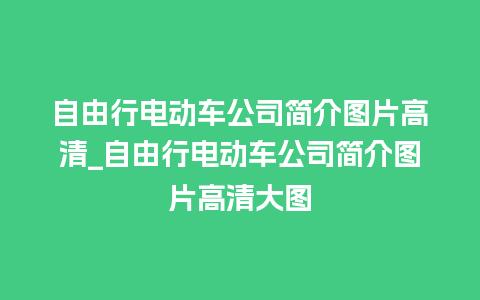 自由行电动车公司简介图片高清_自由行电动车公司简介图片高清大图