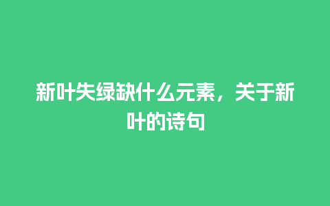 新叶失绿缺什么元素，关于新叶的诗句